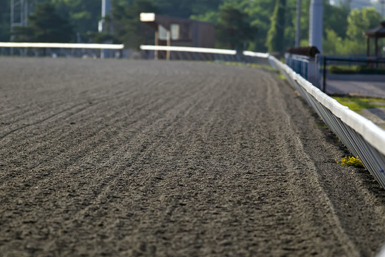 Types of Groomers and Arena Drags for Horse Arenas Performance Footing