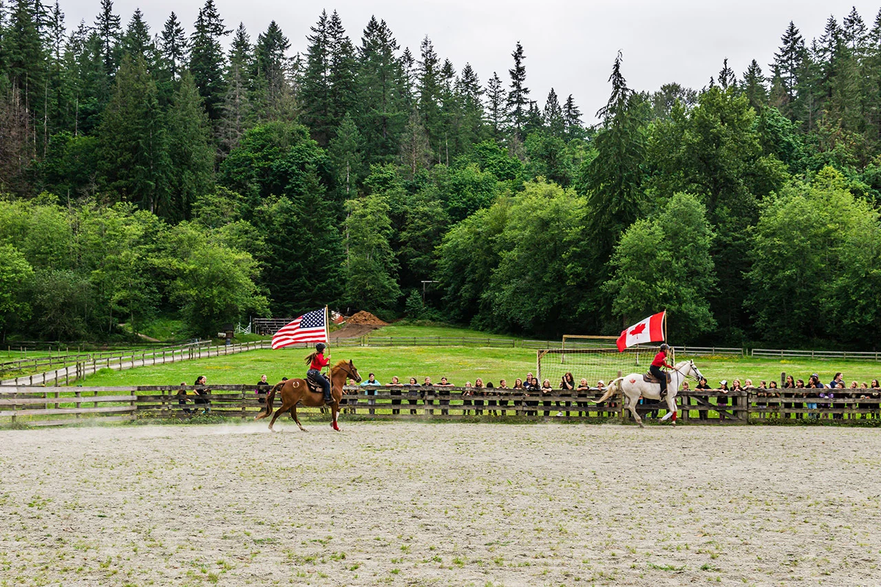 canada-horse Horse Arena Footing Canada