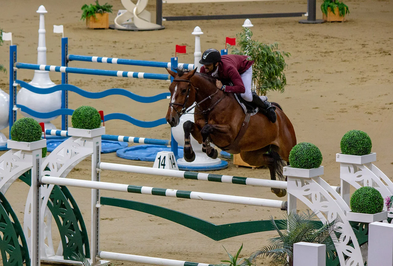 qatar-img-horse Horse Arena Footing Qatar
