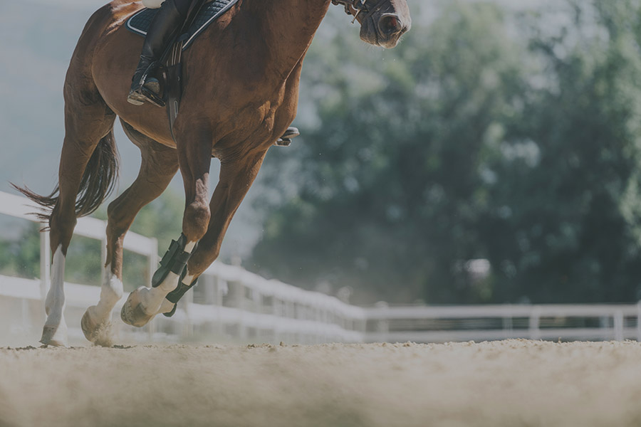 dust control solutions for horse arenas