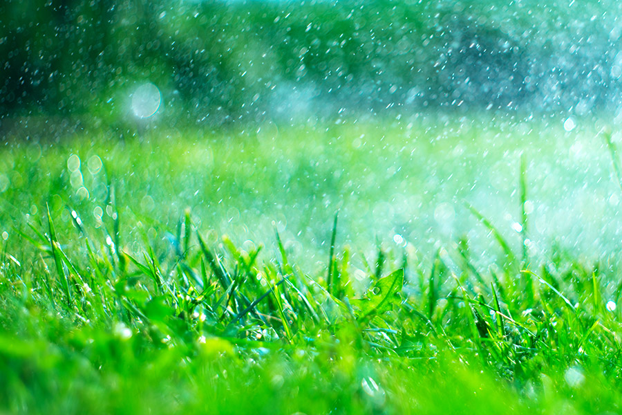why your arena needs an automated watering system