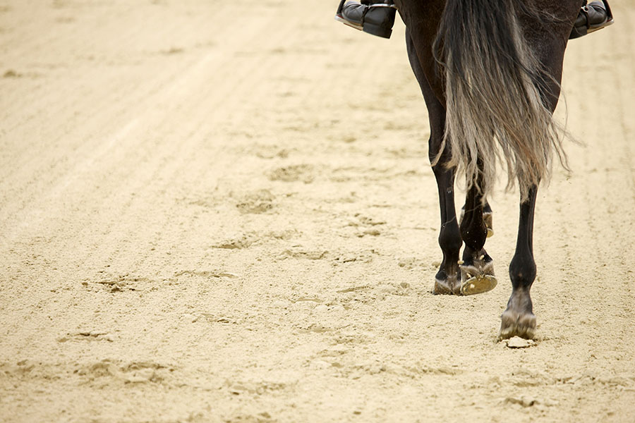 prepare ground for a horse arena