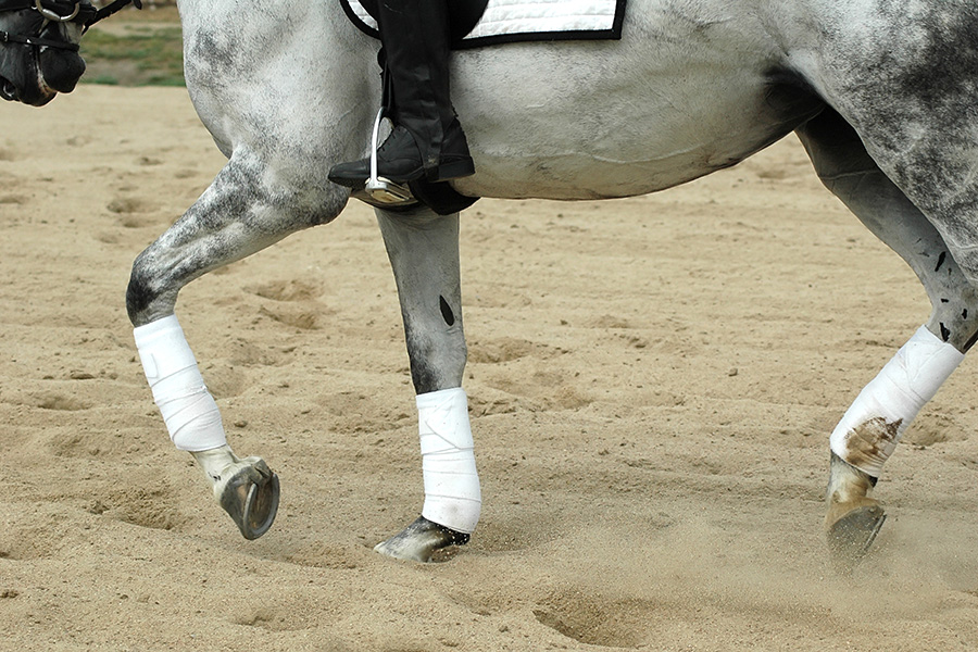 DIY diagnostics for better arena footing