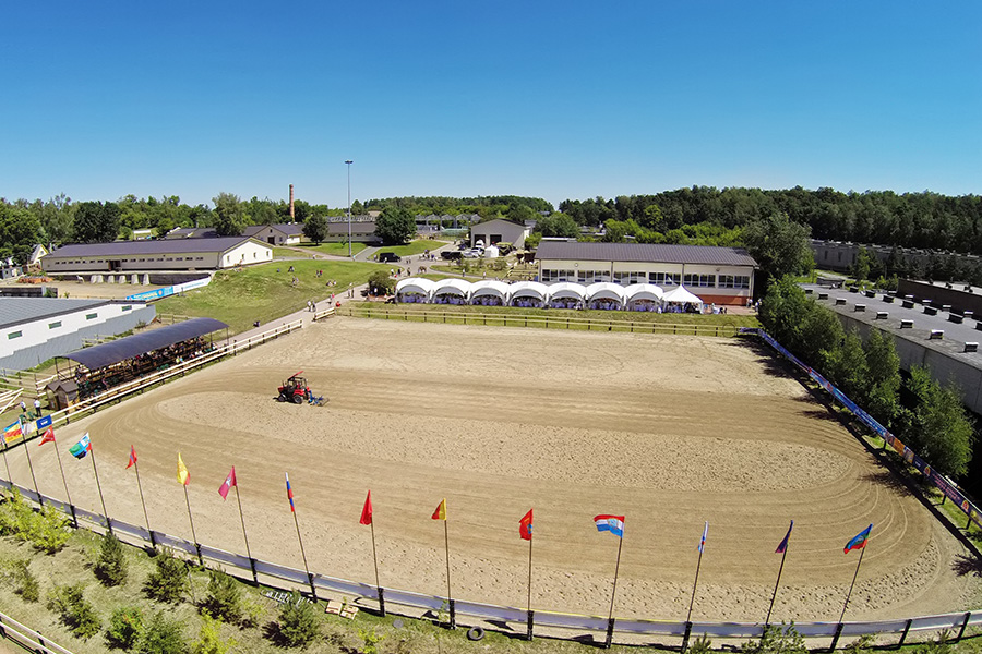 Building the Perfect Horse Arena in Arizona: Drainage, Footing, and Design Tips from the Pros - Featured Image