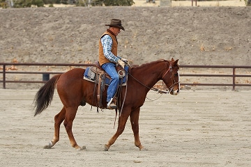 All-Purpose & Ranch Arenas