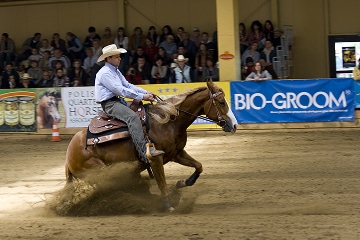 Reining & Western Arenas