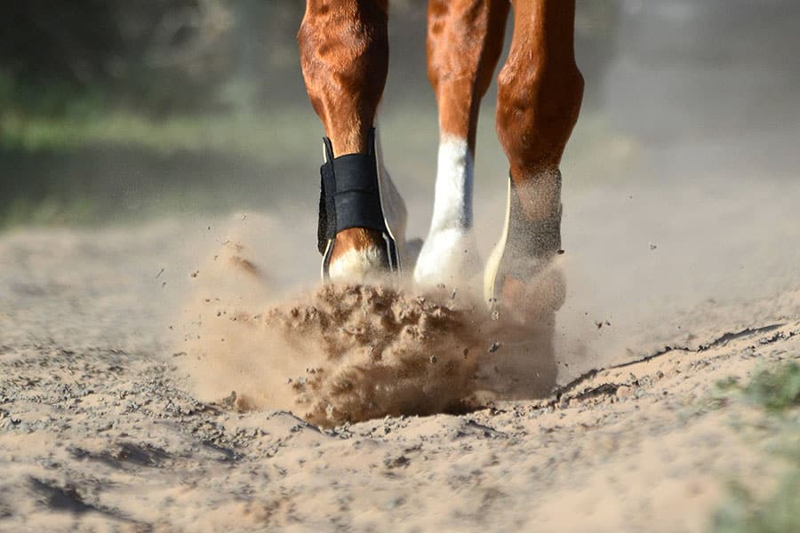 testing sand for dust
