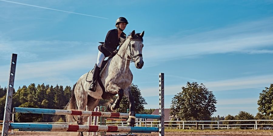 Best-Footing-For-Horse-Arenas