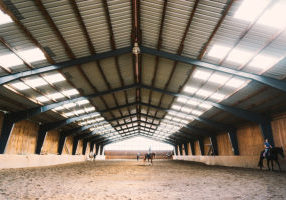 Factors to Consider When Building a Horse Arena