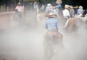 Horse Arena Dust Control Product