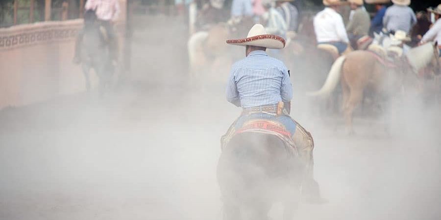 Horse Arena Dust Control Product