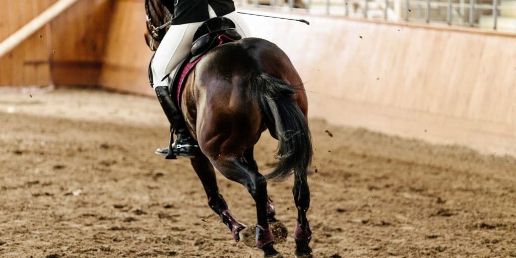 Horse-Arena-Sand-Depth-1024x683