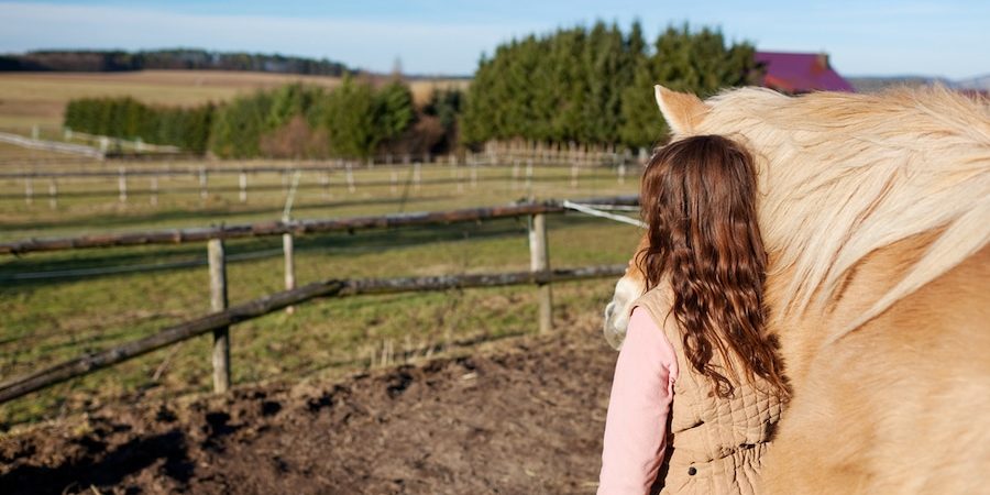 How to Build a Round Horse Pen