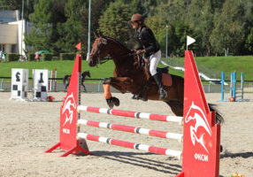arena footing for jumping