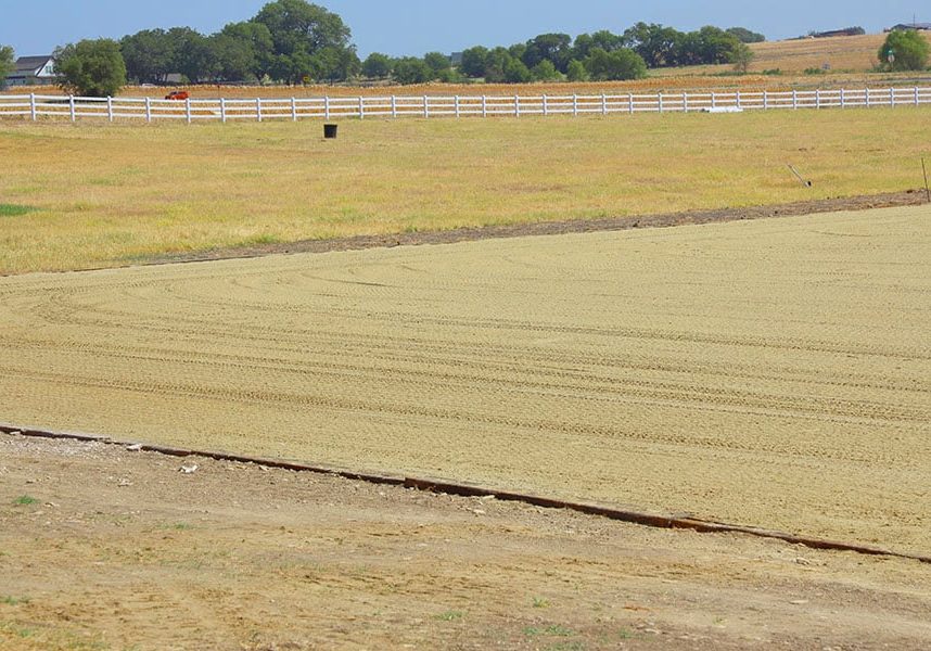 arena grooming pattern