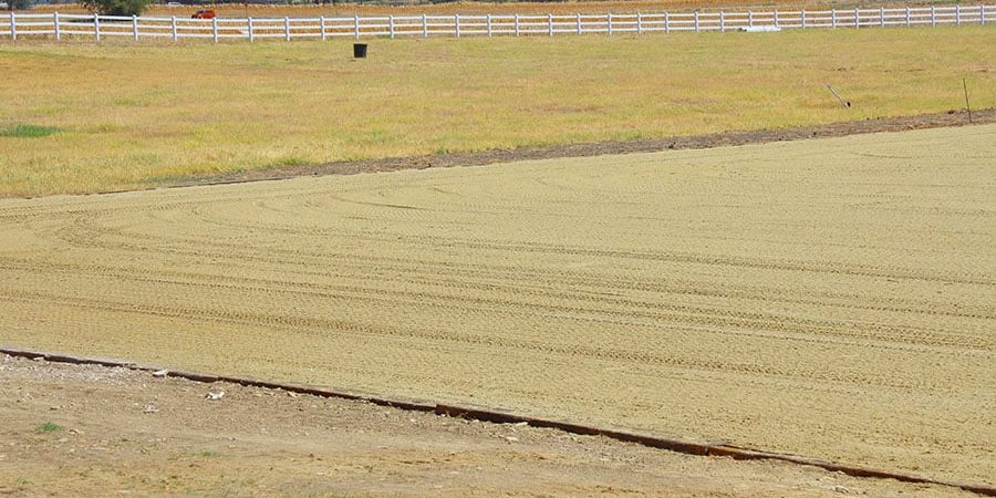arena grooming pattern