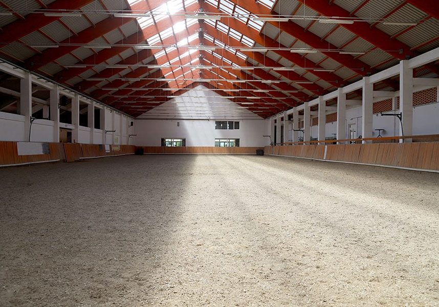 Arena Sand For Horses: How To Pick The Right Footing For Your Needs arena sand for horses