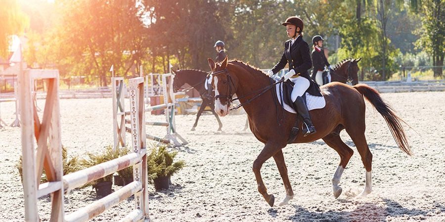 best arena groomers