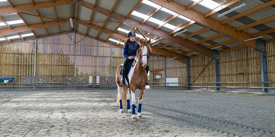 dressage arena size