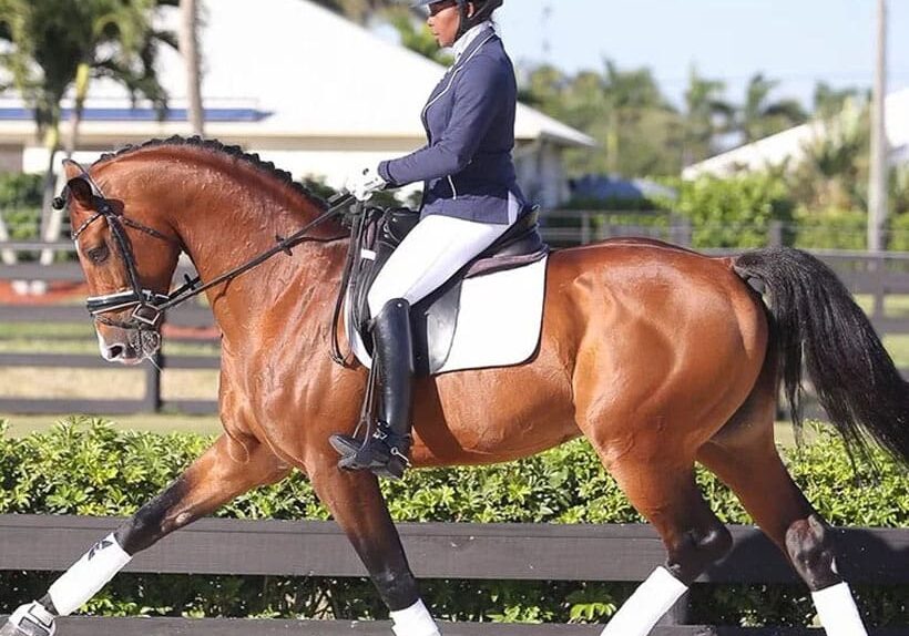 A woman riding a brown horse in an arena.