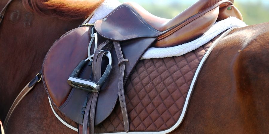 dressage equipment