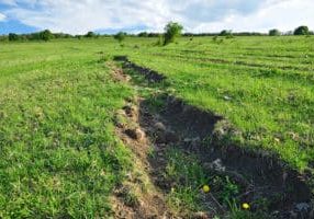erosion control in pastures