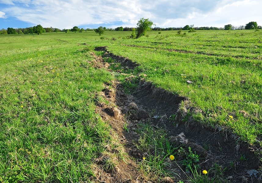 erosion control in pastures