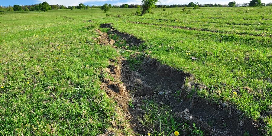 erosion control in pastures