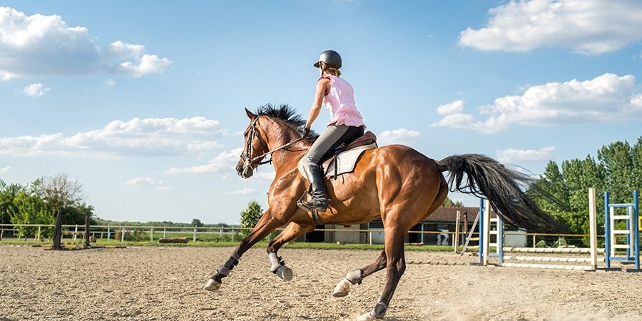 horse arena drainage