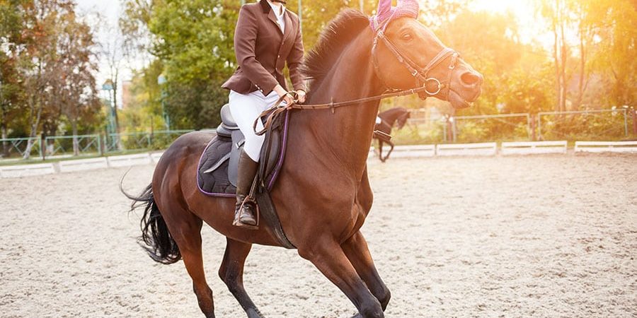 horse arena footing