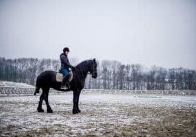 how to keep outdoor arena from freezing