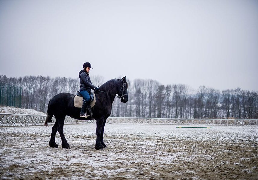 4 Solutions for How to Keep an Outdoor Arena from Freezing how to keep outdoor arena from freezing