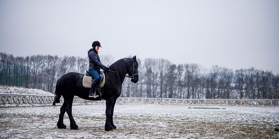 how to keep outdoor arena from freezing