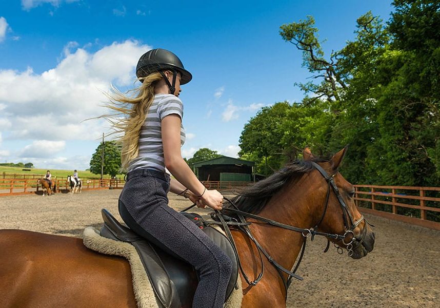 Best Paddock Footing for Horses paddock footing for horses