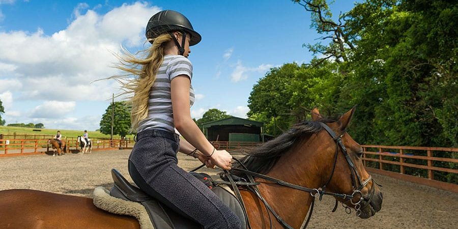 paddock footing for horses