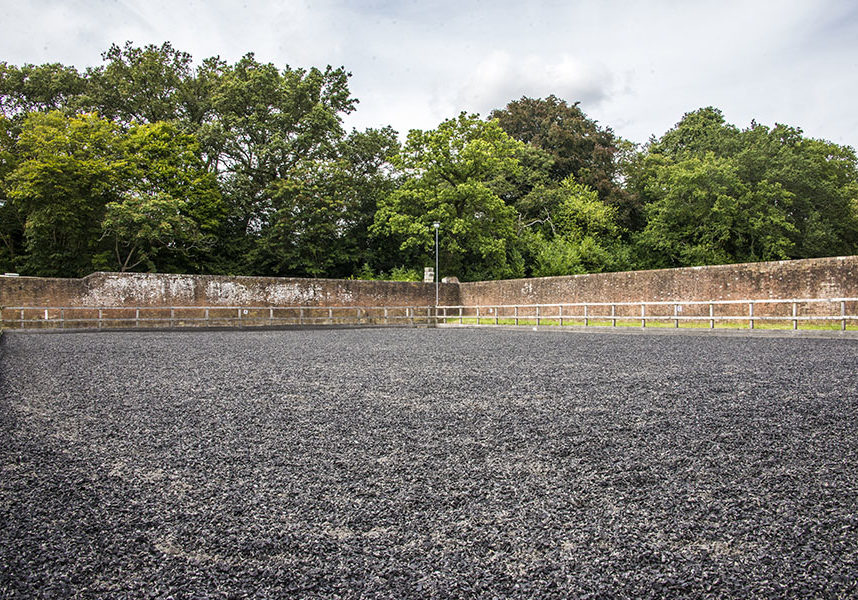 Pros And Cons Of Rubber Mulch: How To Pick The Best Equestrian Arena Footing pros and cons of rubber mulch