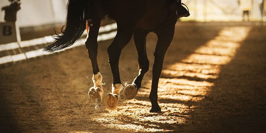 selecting arena footing additives