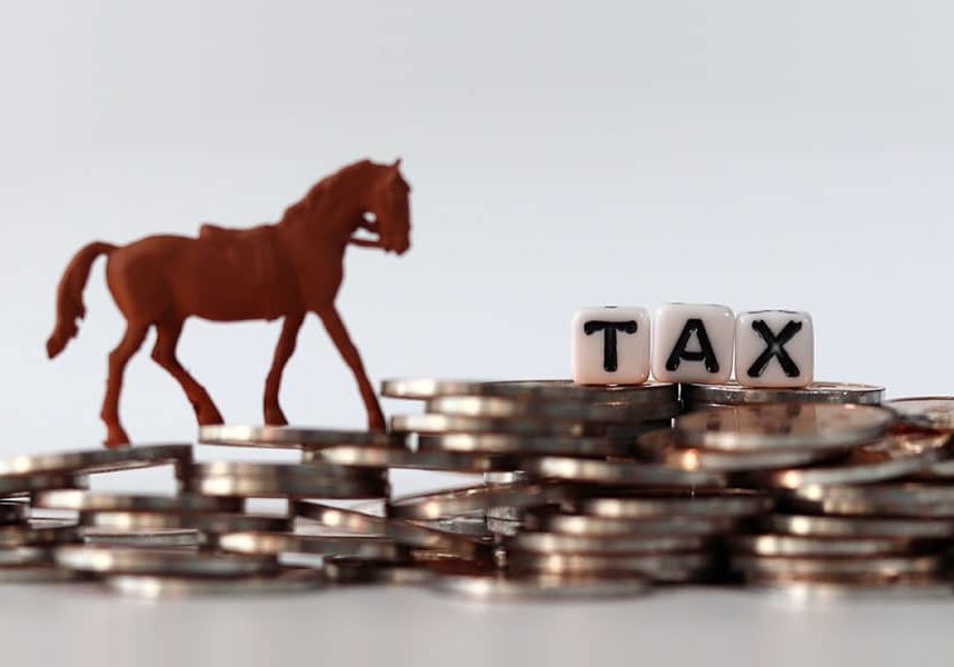 tax benefits horse ownership
